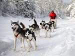 Krabloonik Snowmass Dog Sledding Tours & Fine On-Mountain Dining 